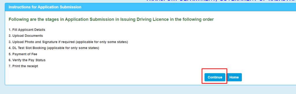 Permanent Driving Licence